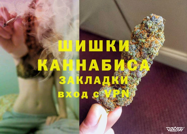дурь Каменка