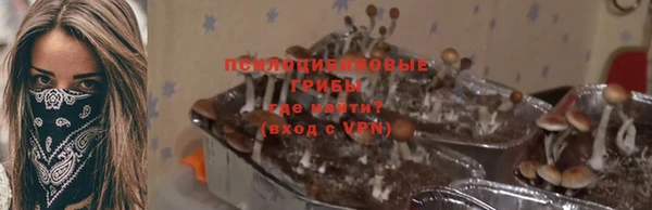 дурь Каменка