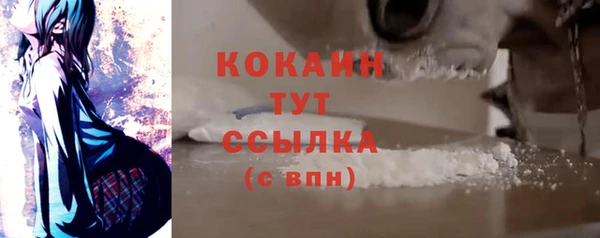 бошки Каменногорск