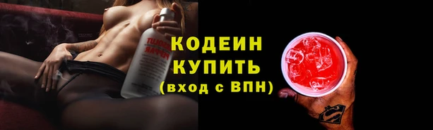 дурь Каменка