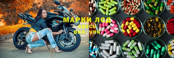 бошки Каменногорск