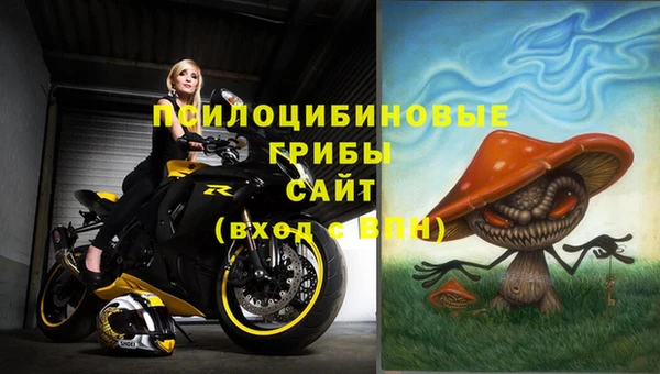 бошки Каменногорск