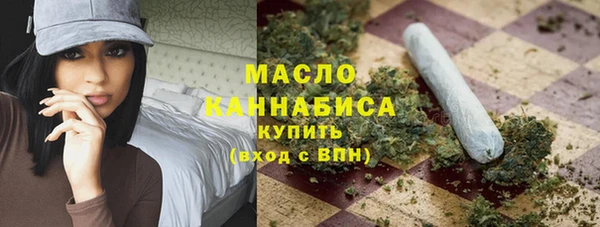 дурь Каменка