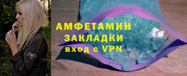 мдпв Инсар