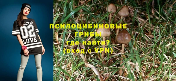 дурь Каменка