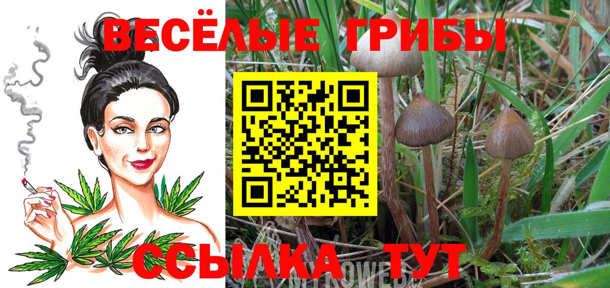 Галлюциногенные грибы Cubensis  Вход с VPN  Углич  Галлюциногенные грибы Psilocybine cubensis 